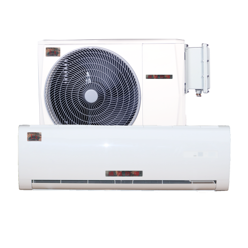 ƽꑷ������w���{